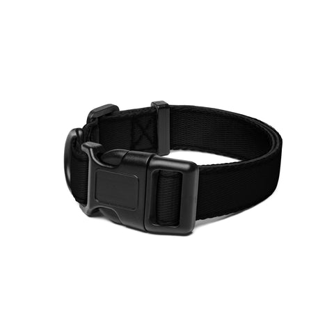 BlackMoxi Pet collar w/blk lettering