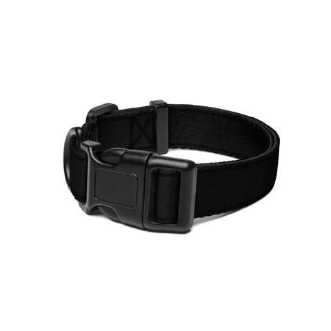 BlackMoxi Pet collar w/wht lettering